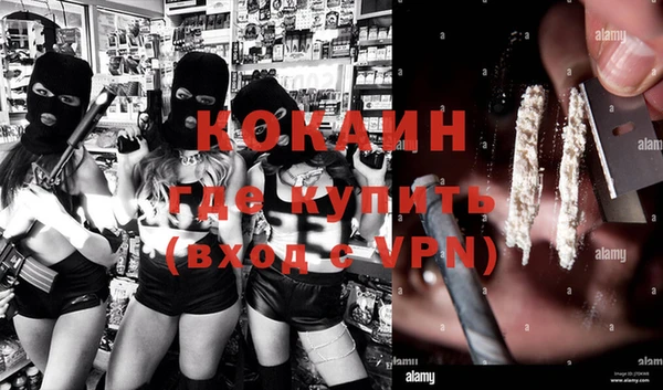 твердый Лагань