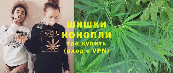 PSILOCYBIN Ладушкин