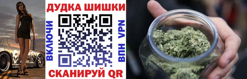 Купить где  Староминская  Канабис сатива 